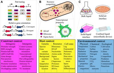 The context matrix: Navigating biological complexity for advanced biodesign